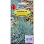 Blue Sheep Fescue (Festuca Ovina Glauca) 50 seeds