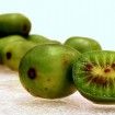 Hardy Kiwi (Actinidia Arguta) 15 seeds