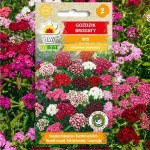 Sweet William (Dianthus Barbatus mix) 25 seeds