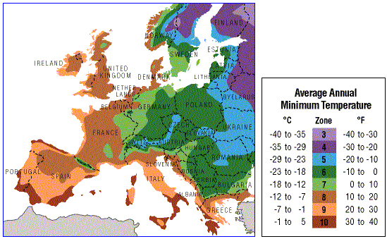 Plant Hardiness Zones